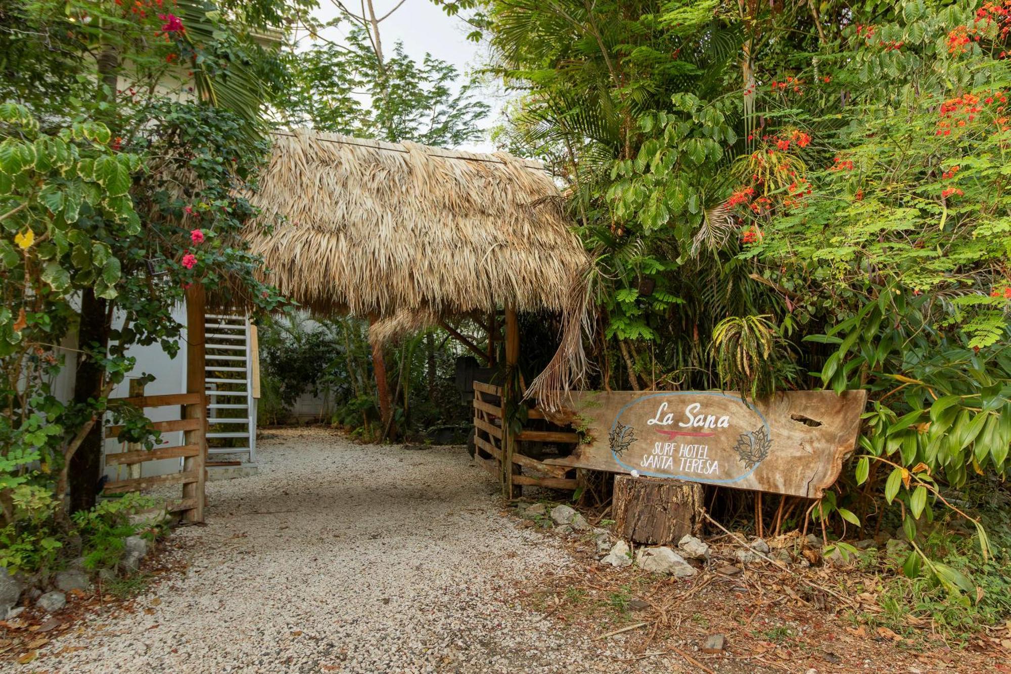 La Sana Surf Hotel, New Management, Few Mn Drive To The Beach Playa Santa Teresa  Exterior foto